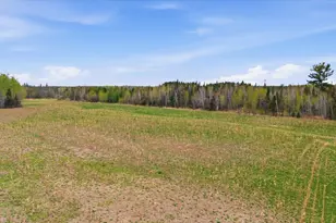 12502 Van Horn Rd, Floodwood, MN 55736 - Photo 52