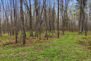 12502 Van Horn Rd, Floodwood, MN 55736 - Photo 66