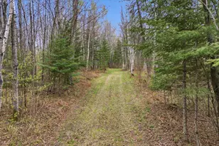 12502 Van Horn Rd, Floodwood, MN 55736 - Photo 54
