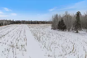 12502 Van Horn Rd, Floodwood, MN 55736 - Photo 42