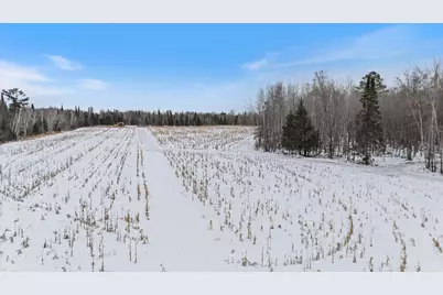 12502 Van Horn Road, Floodwood, MN 55736 - Photo 42