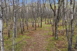 12502 Van Horn Rd, Floodwood, MN 55736 - Photo 62