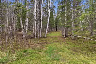12502 Van Horn Rd, Floodwood, MN 55736 - Photo 56