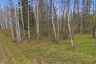 12502 Van Horn Rd, Floodwood, MN 55736 - Photo 74