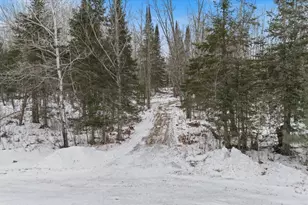 12502 Van Horn Rd, Floodwood, MN 55736 - Photo 88