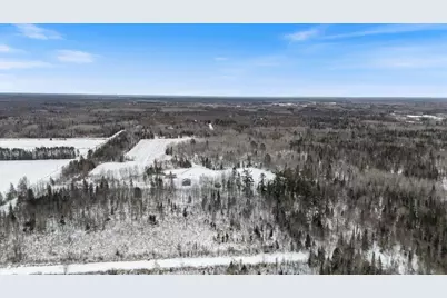 12502 Van Horn Road, Floodwood, MN 55736 - Photo 40