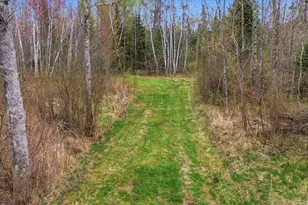 12502 Van Horn Rd, Floodwood, MN 55736 - Photo 58