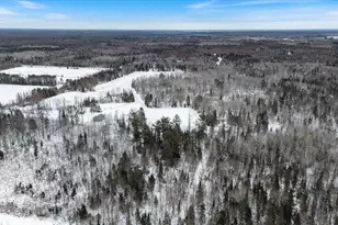 12502 Van Horn Rd, Floodwood, MN 55736 - Photo 38