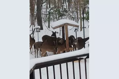 6924 230th Avenue NE, Stacy, MN 55079 - Photo 44