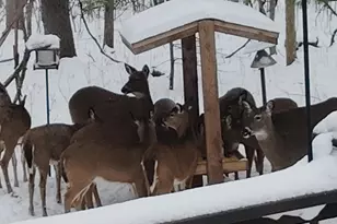 6924 230th Ave NE, Stacy, MN 55079 - Photo 44