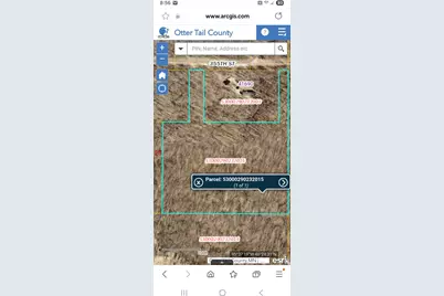 Tbd 355th Street, Richville, MN 56576 - Photo 2