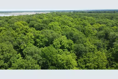 Tbd 355th Street, Richville, MN 56576 - Photo 14