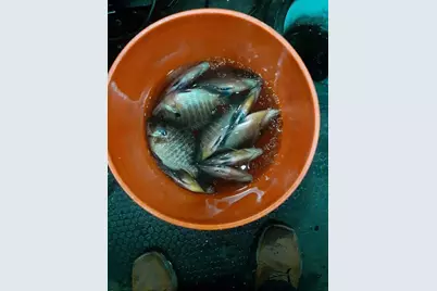 10608 Grunwald Avenue NW, Maple Lake, MN 55358 - Photo 86