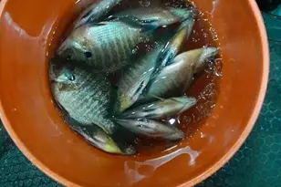 10608 Grunwald Ave NW, Maple Lake, MN 55358 - Photo 86