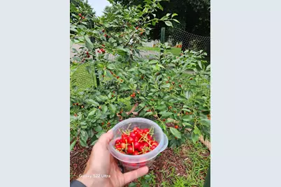 890 Maple Drive, Osceola, WI 54020 - Photo 32