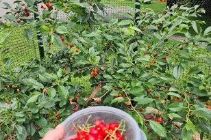 890 Maple Dr, Osceola, WI 54020 - Photo 32