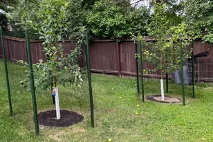 890 Maple Dr, Osceola, WI 54020 - Photo 28