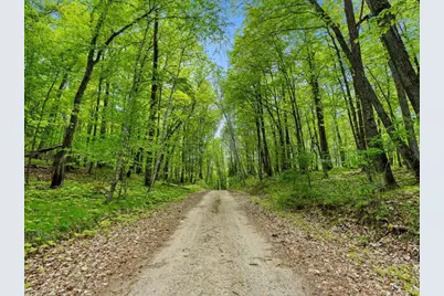 66653 County Road 533, Effie, MN 56639 - Photo 68