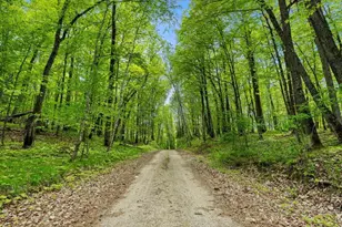 66653 Co Rd 533, Effie, MN 56639 - Photo 68