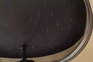 2923 Jonquil Trail N, Lake Elmo, MN 55042 - Photo 84