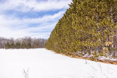 000 Mid-River Road, Pine City, MN 55063 - Photo 2