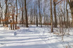 40201 231st Ave, Browerville, MN 56438 - Photo 28