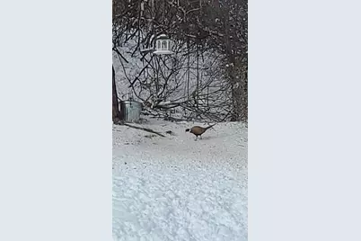 809 60th Avenue SW, Rochester, MN 55902 - Photo 32