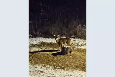 809 60th Avenue SW, Rochester, MN 55902 - Photo 30