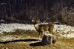 809 60th Ave SW, Rochester, MN 55902 - Photo 30