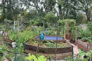 1632 Rivercrest Rd N, Lakeland, MN 55043 - Photo 38