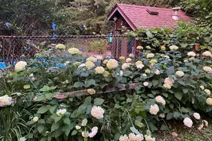 1632 Rivercrest Rd N, Lakeland, MN 55043 - Photo 28