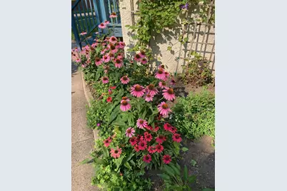 895 Lakeview Avenue, Saint Paul, MN 55117 - Photo 40