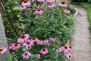 895 Lakeview Ave, Saint Paul, MN 55117 - Photo 36