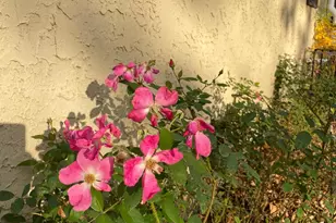 2200 Gardenette Dr S, White Bear Lake, MN 55110 - Photo 32