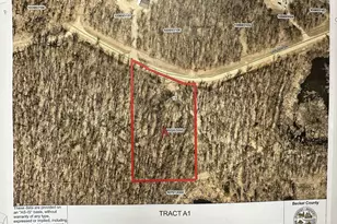 Tract A Carlson Dr, Rochert, MN 56578 - Photo 1