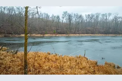 Tract C Carlson Drive, Rochert, MN 56578 - Photo 20