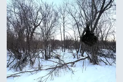 38192 Walker Lake Drive, Richville, MN 56576 - Photo 4