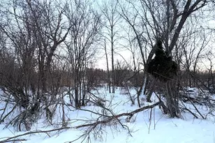 38192 Walker Lake Dr, Richville, MN 56576 - Photo 4