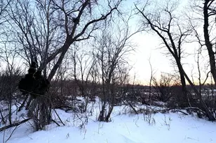 38192 Walker Lake Dr, Richville, MN 56576 - Photo 6