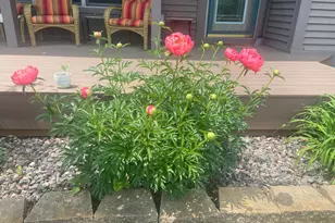 2061 10th Ave, Star Prairie, WI 54026 - Photo 40