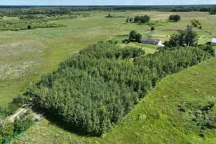 9091 52nd St SW, Verndale, MN 56481 - Photo 12