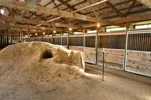 9091 52nd St SW, Verndale, MN 56481 - Photo 26