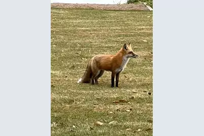 1640 Waterbury, Waconia, MN 55387 - Photo 66