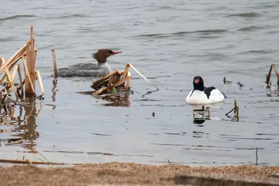 1640 Waterbury, Waconia, MN 55387 - Photo 74