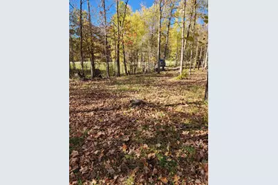 Lot 7 SW Pickerel Lake Road, Detroit Lakes, MN 56501 - Photo 4