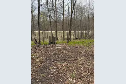 Lot 7 SW Pickerel Lake Road, Detroit Lakes, MN 56501 - Photo 4
