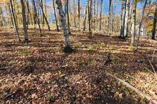 Lot 7 SW Pickerel Lake Rd, Detroit Lakes, MN 56501 - Photo 1