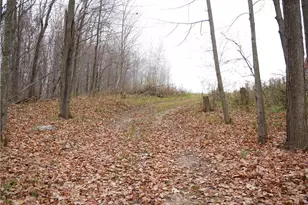 82 12th St, Ridgeland, WI 54763 - Photo 8