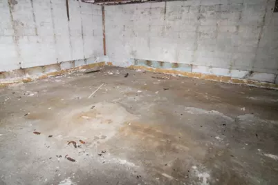 641 Forest Avenue, Albany, MN 56307 - Photo 4