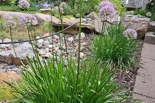 3709 W 104th St, Bloomington, MN 55431 - Photo 46